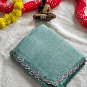 Fancy Jimmy Choo Saree