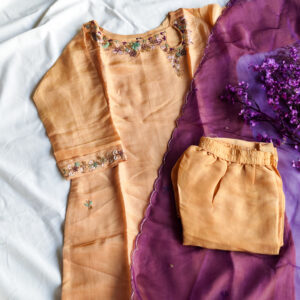 Tissue Kurta Set (Chikoo)